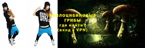 твердый Богородицк