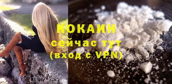 твердый Богородицк