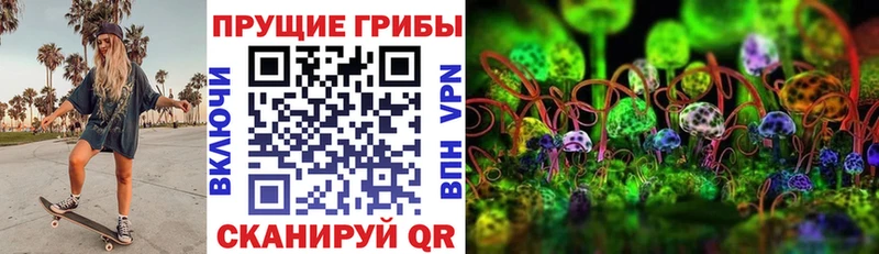 Псилоцибиновые грибы ЛСД  Михайлов 